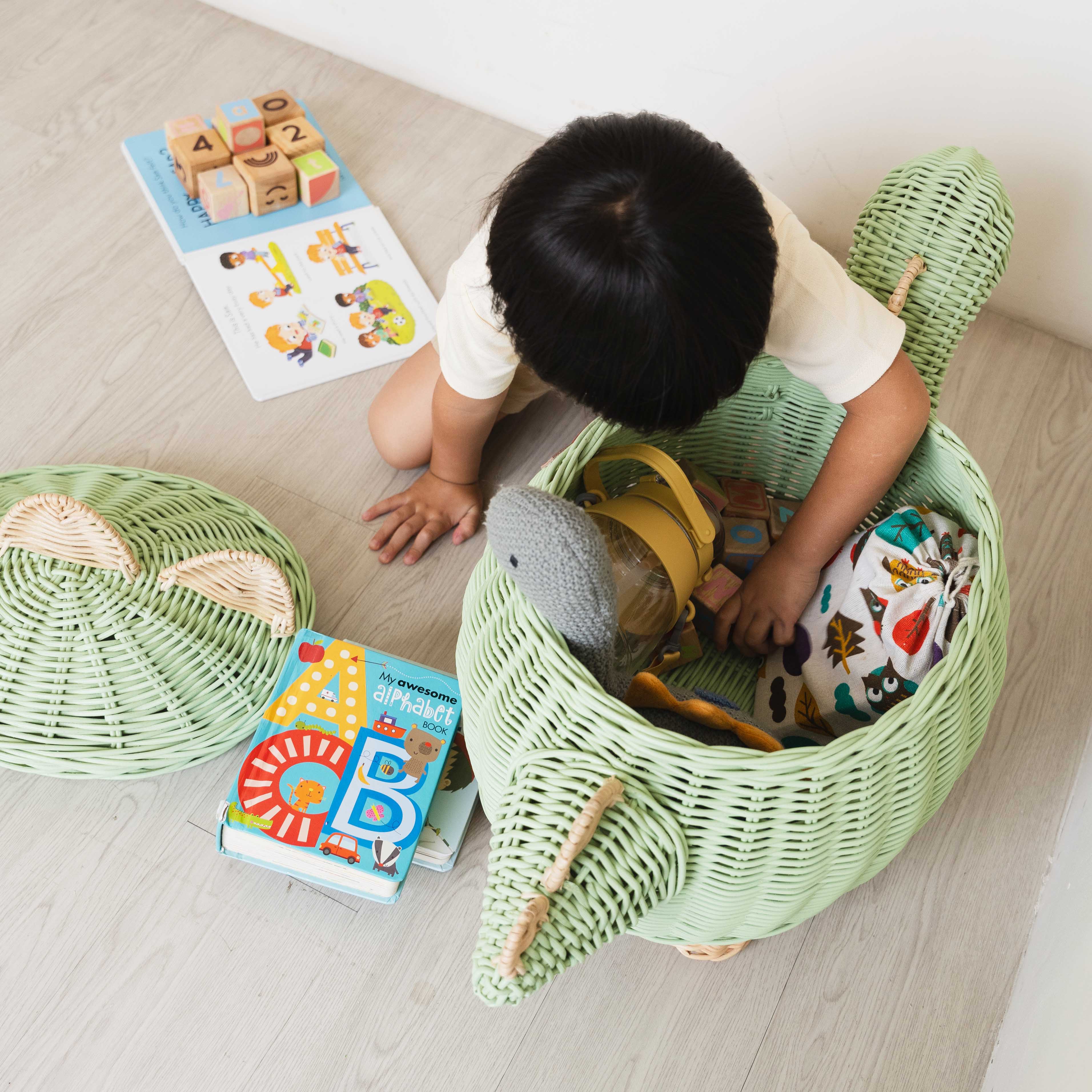 Dinosaur Large Storage Basket