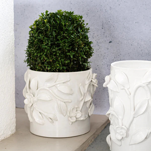 Bougainvillea Garden Short Cachepot