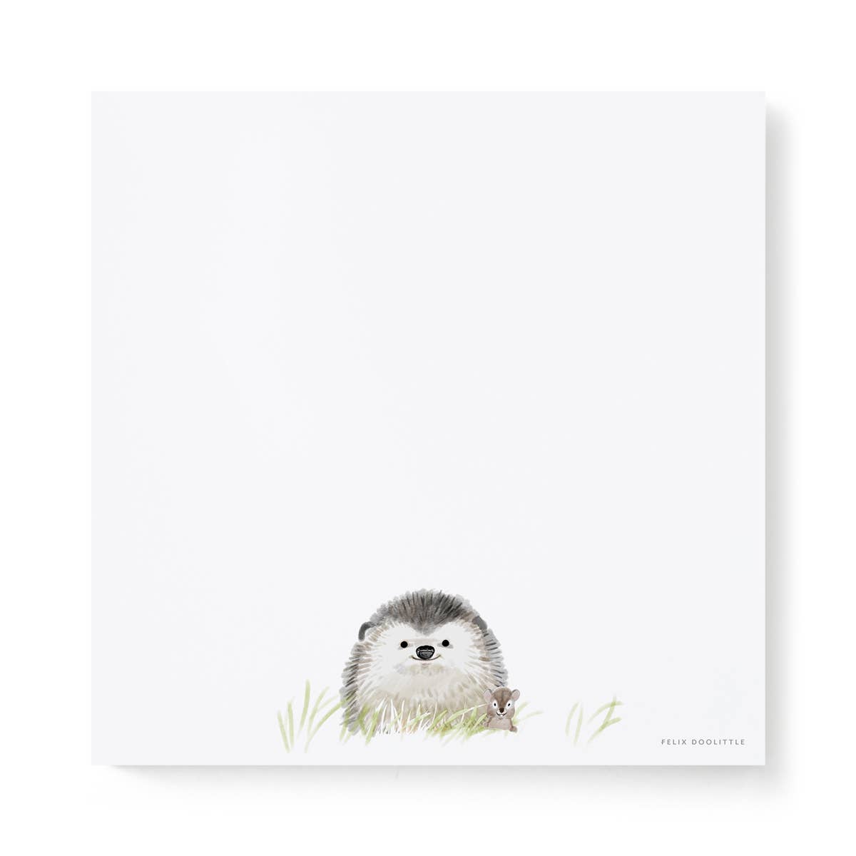 Little Hedgehog Square Notepad
