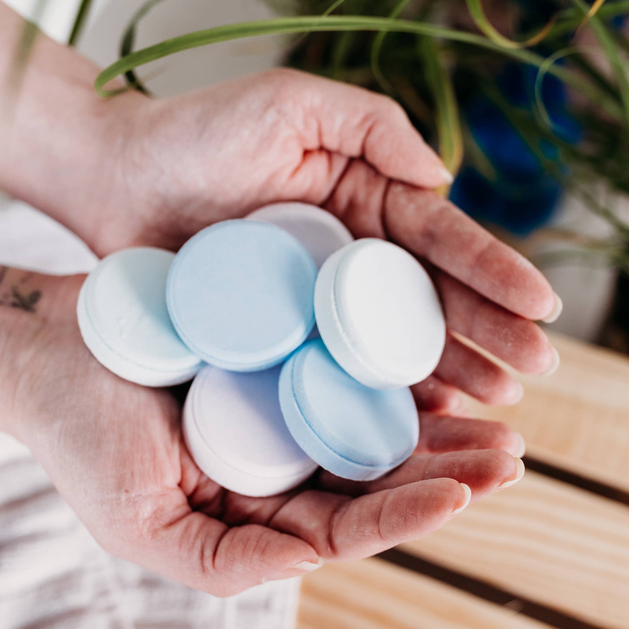 Eucalyptus Shower Steamers