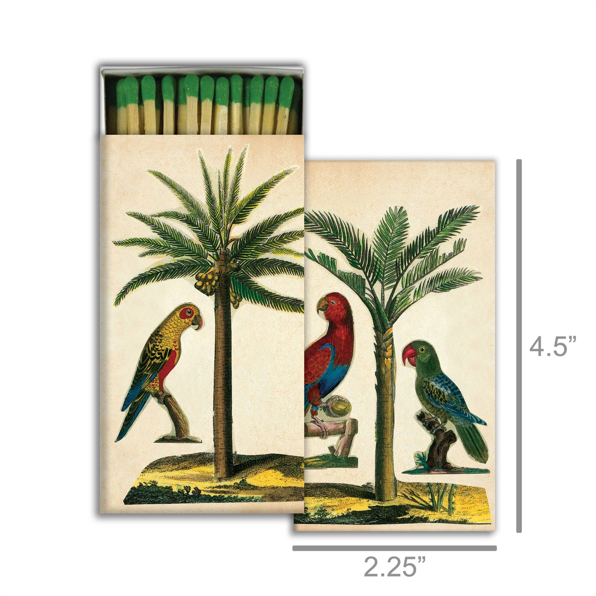 Palm & Parrot Matchbox