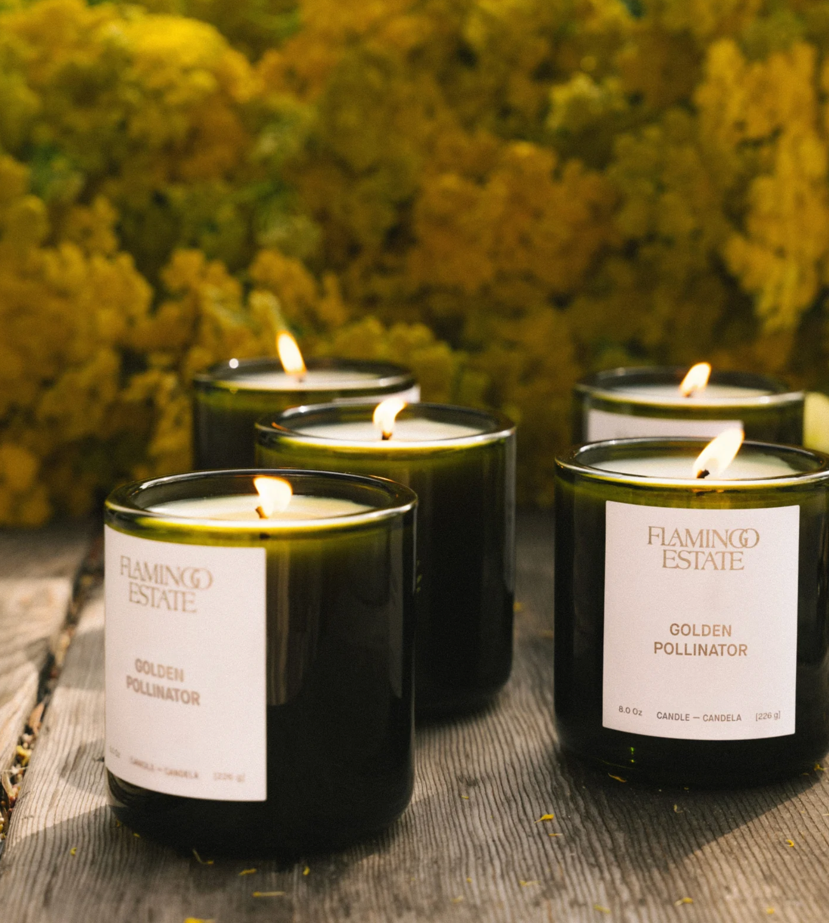 Golden Pollinator Candle