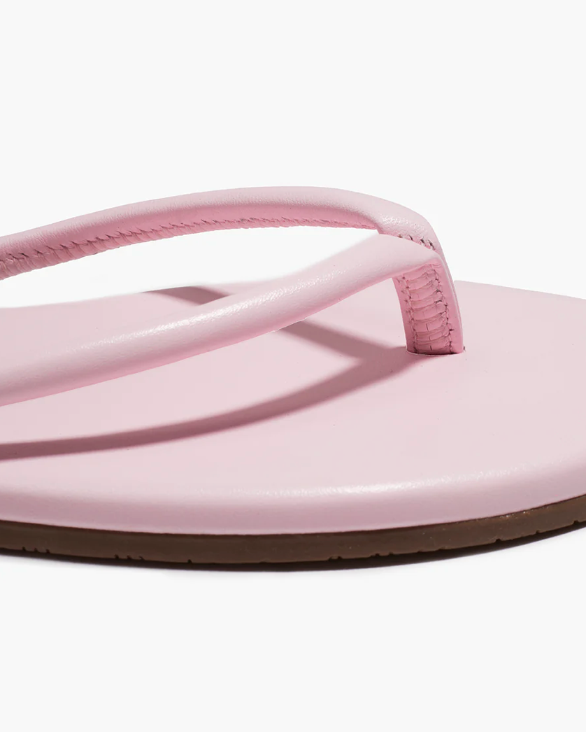 Tubular Lily Powder Pink