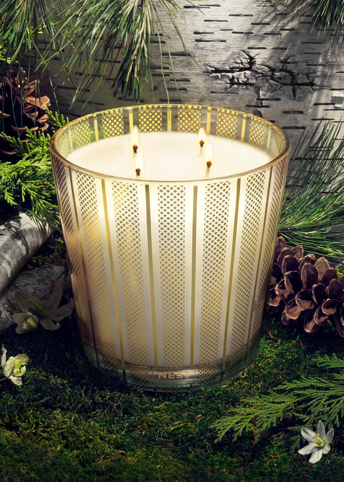 Birchwood Pine Luxury 4-Wick Candle