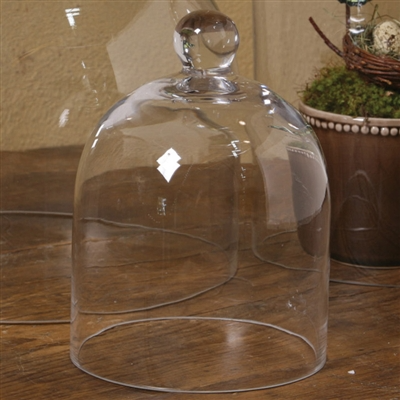 Glass Dome