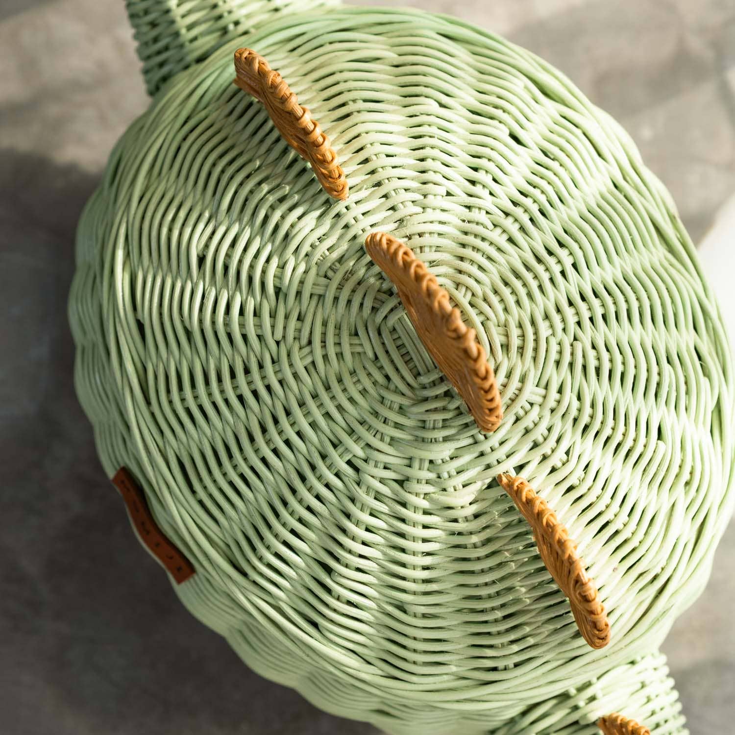 Dinosaur Medium Storage Basket