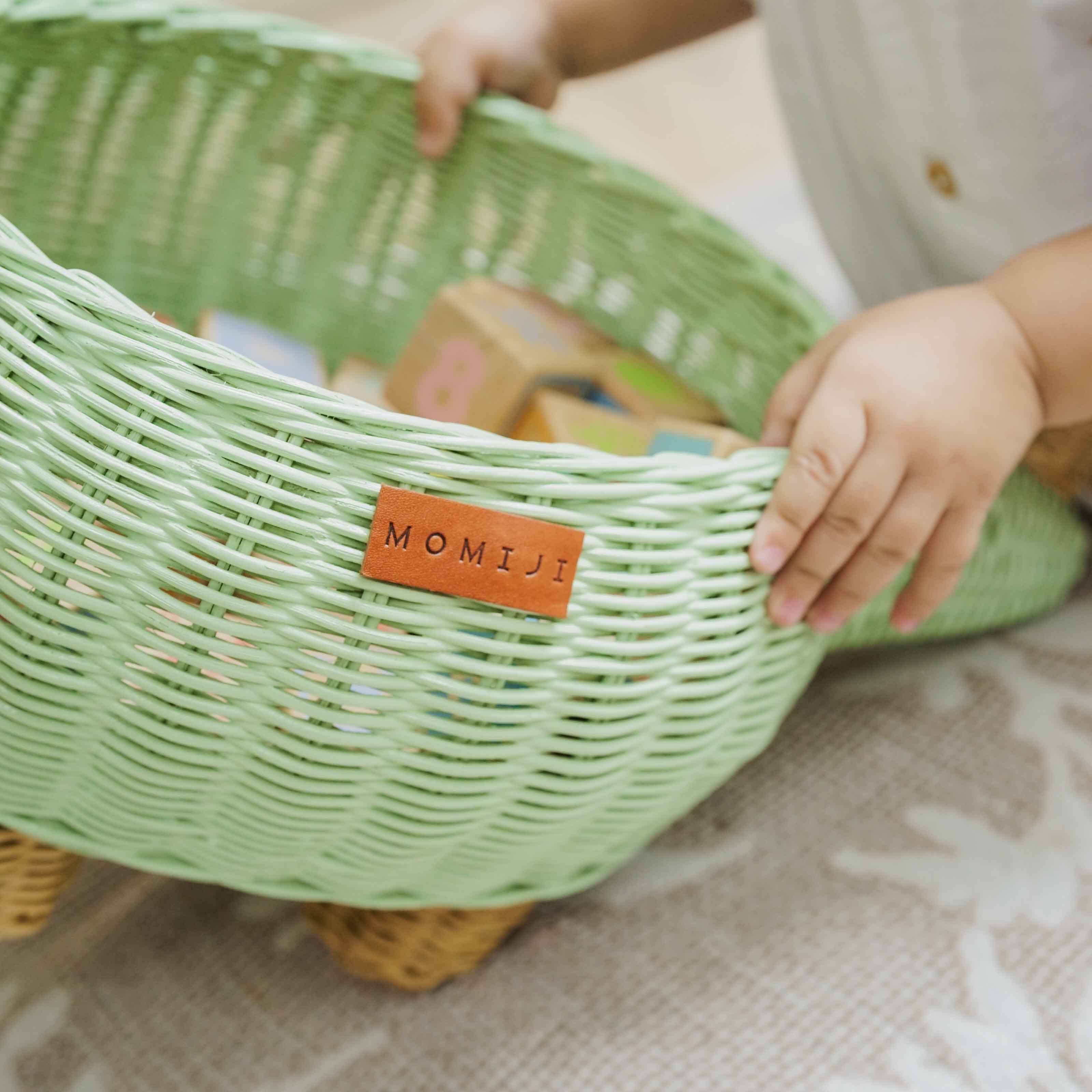 Dinosaur Medium Storage Basket