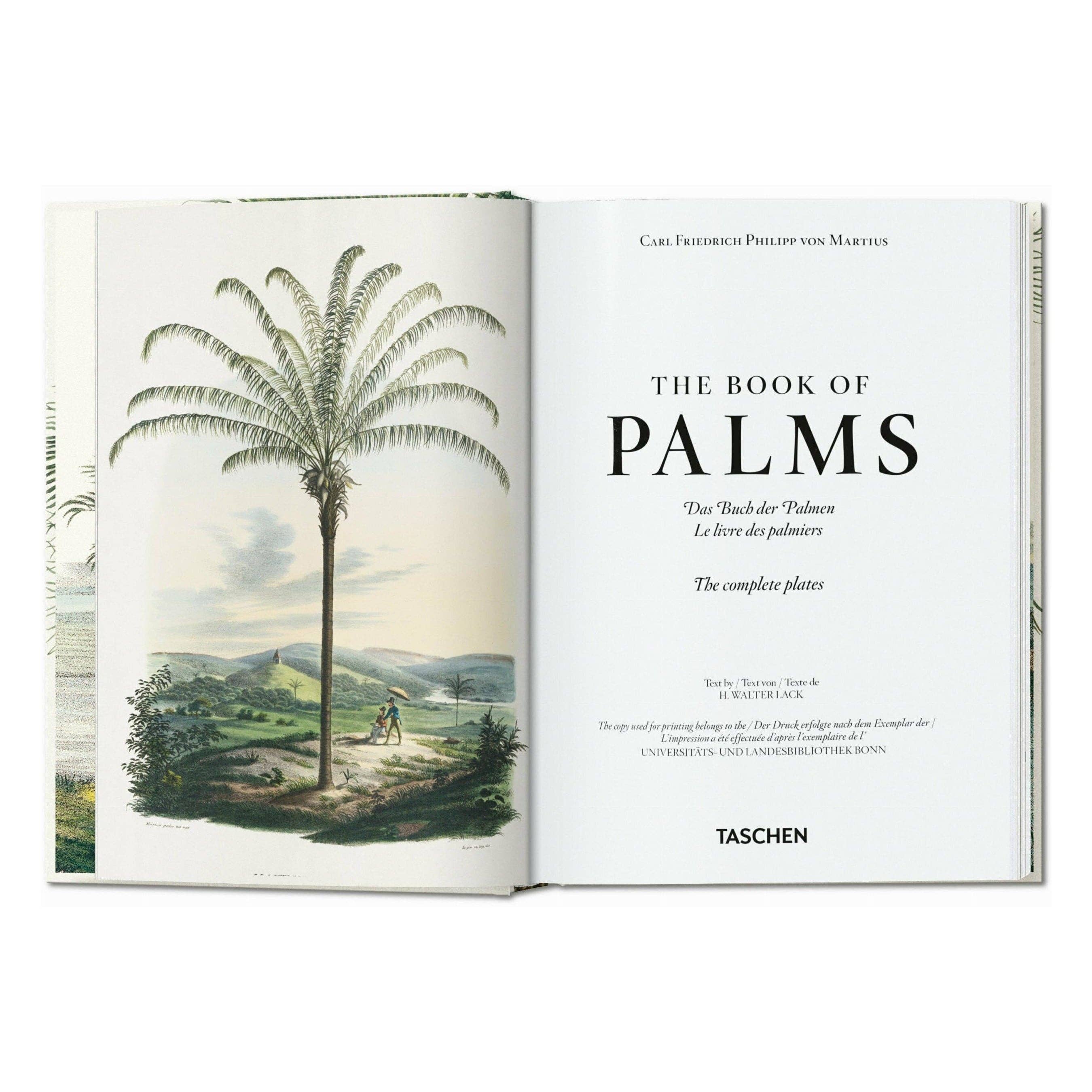 The Book of Palms