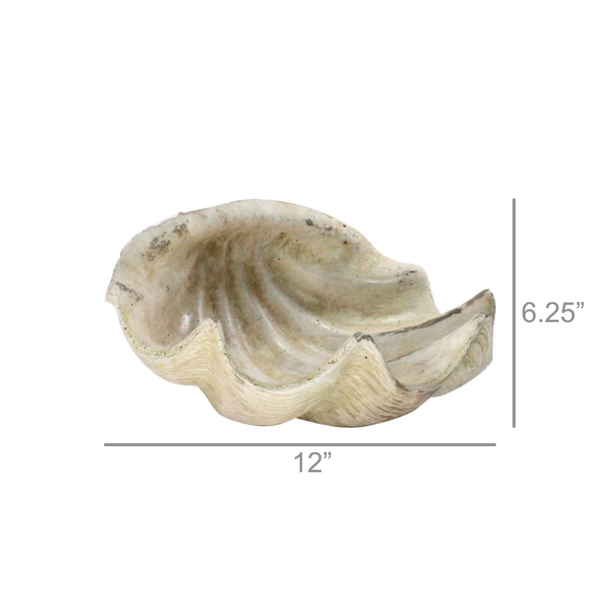 Cement Cast Clam Shell