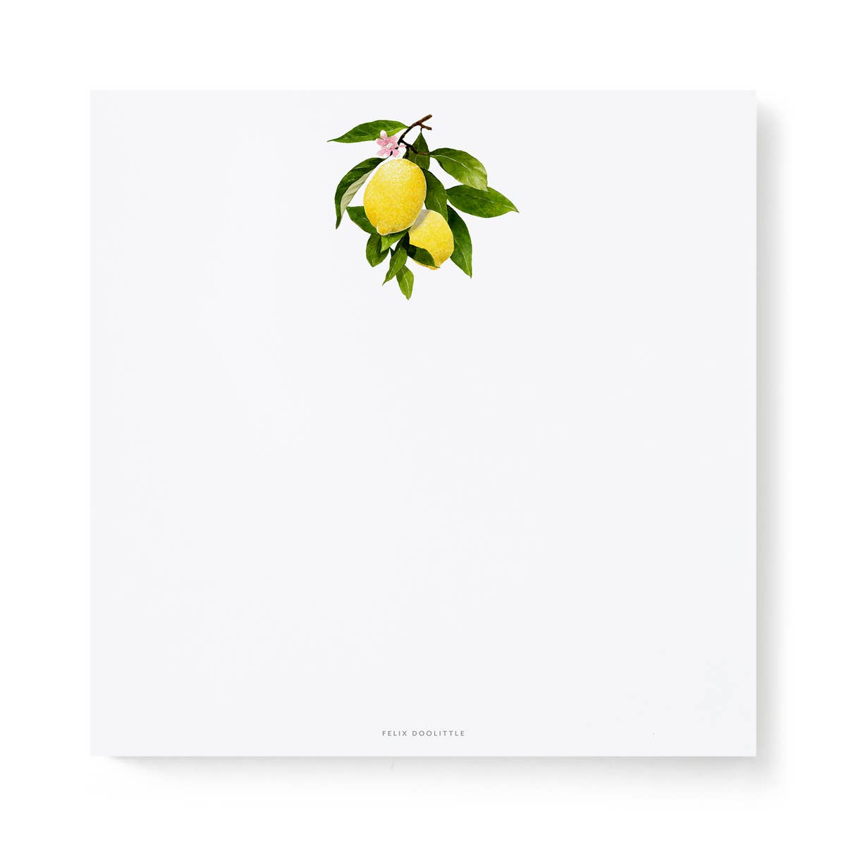 Lemon Branch Square Notepad