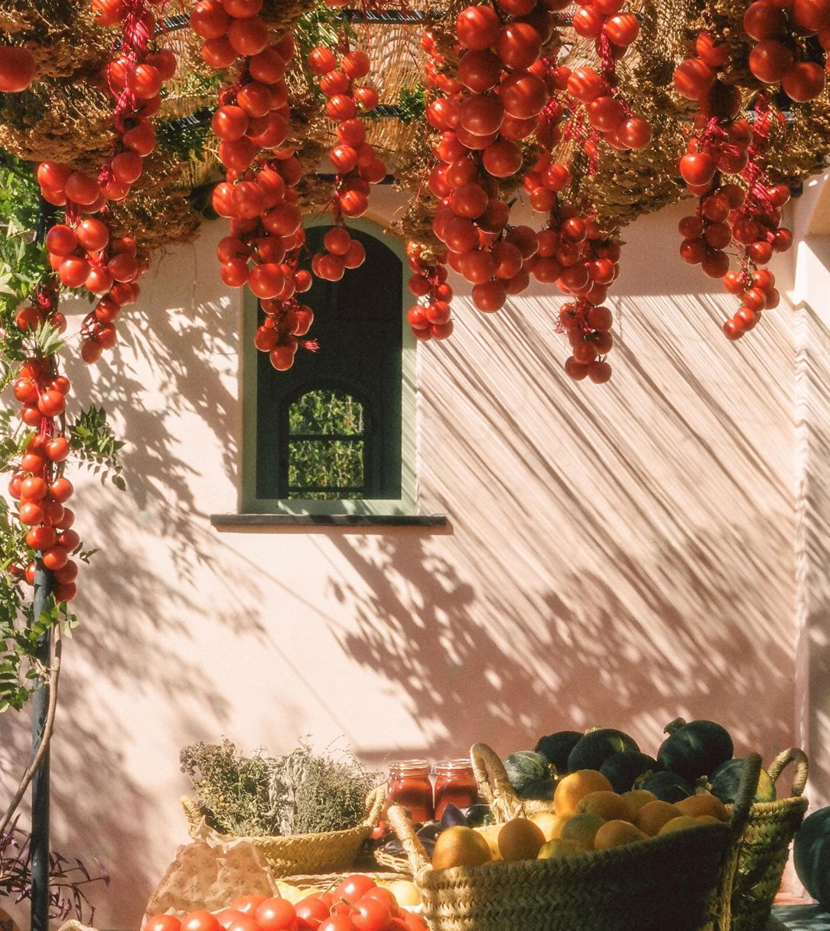 Heirloom Tomato XL Candle
