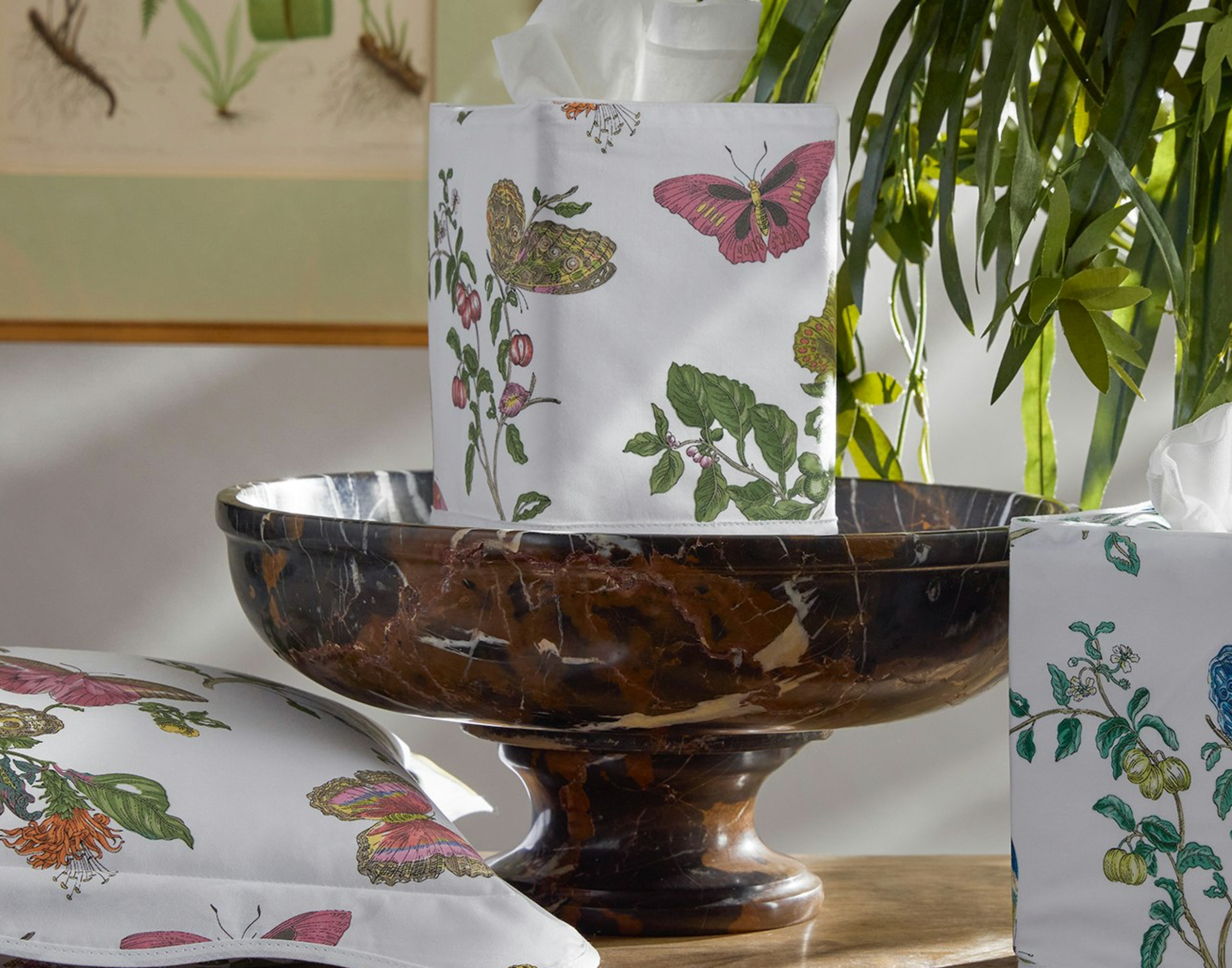 Baudin Butterfly Tissue Box Cover