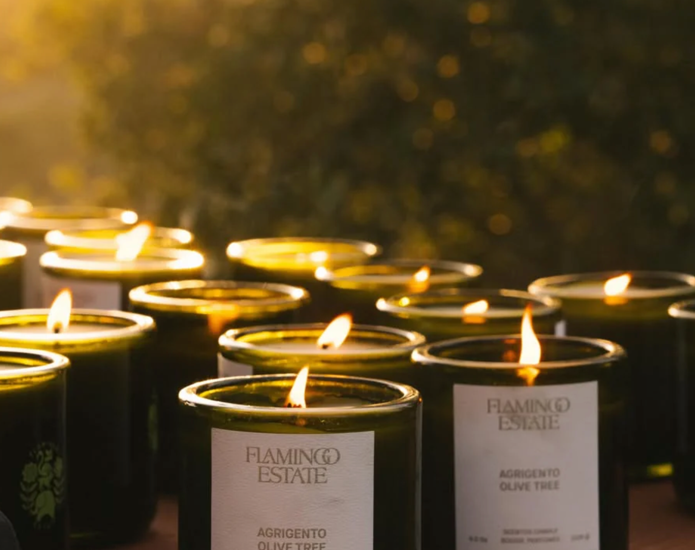 Ancient Agrigento Olive Tree Candle