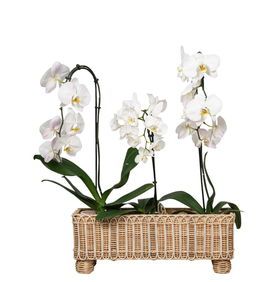 Provence Rattan Rectangular Planter