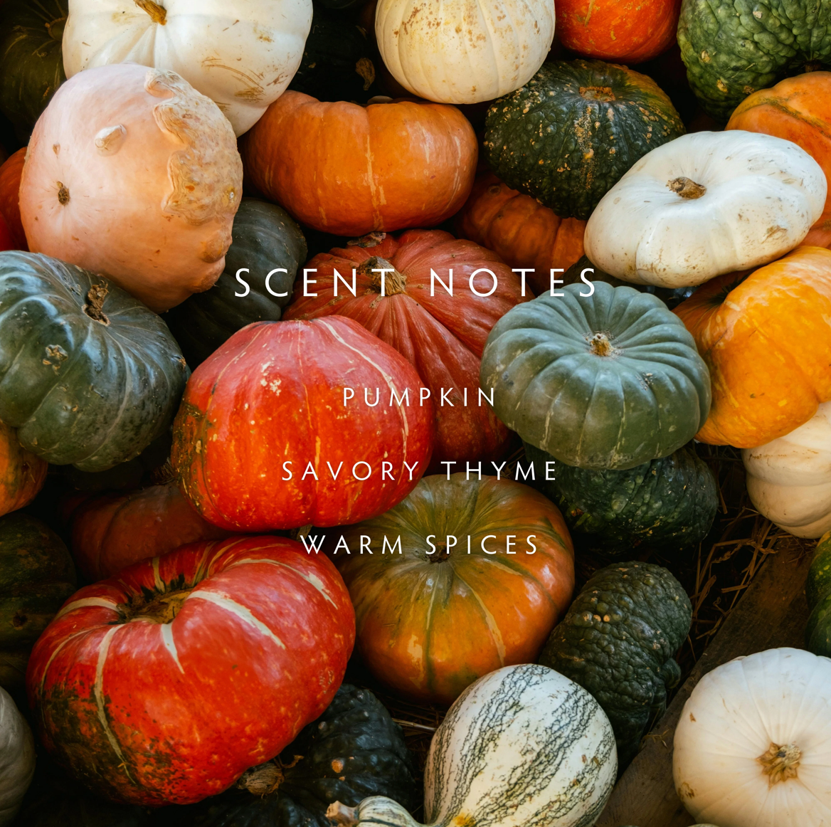Harvest Pumpkin 2-Wick Candle