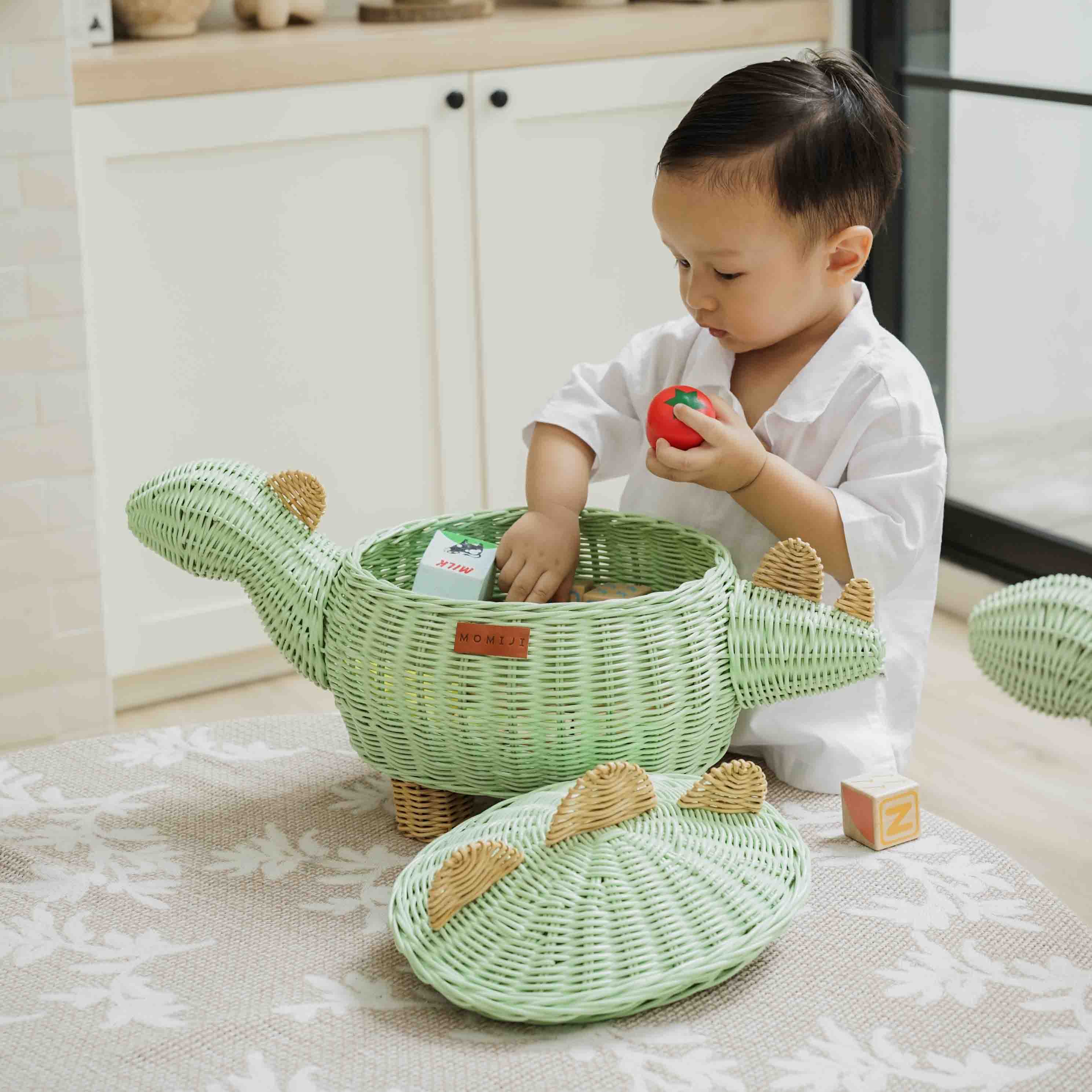 Dinosaur Medium Storage Basket