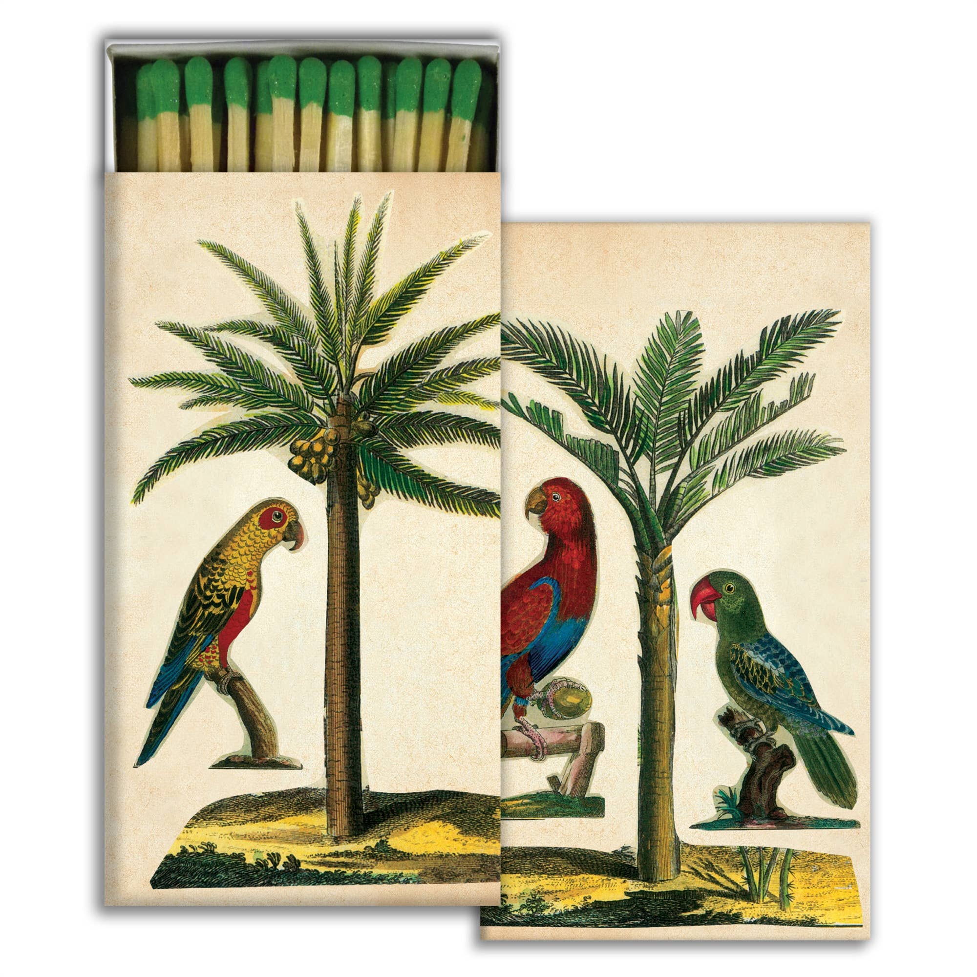 Palm & Parrot Matchbox