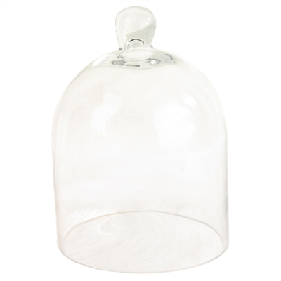 Glass Dome