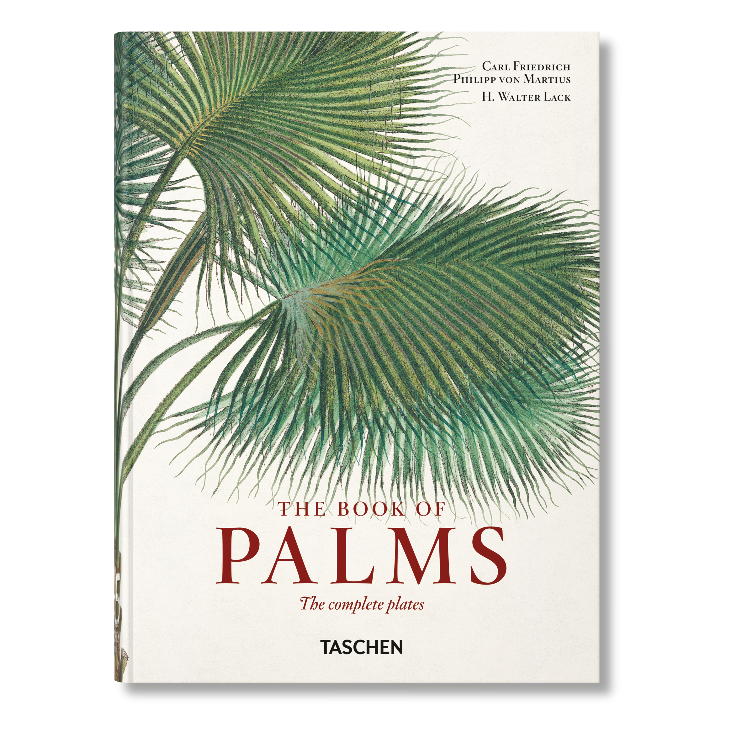 The Book of Palms