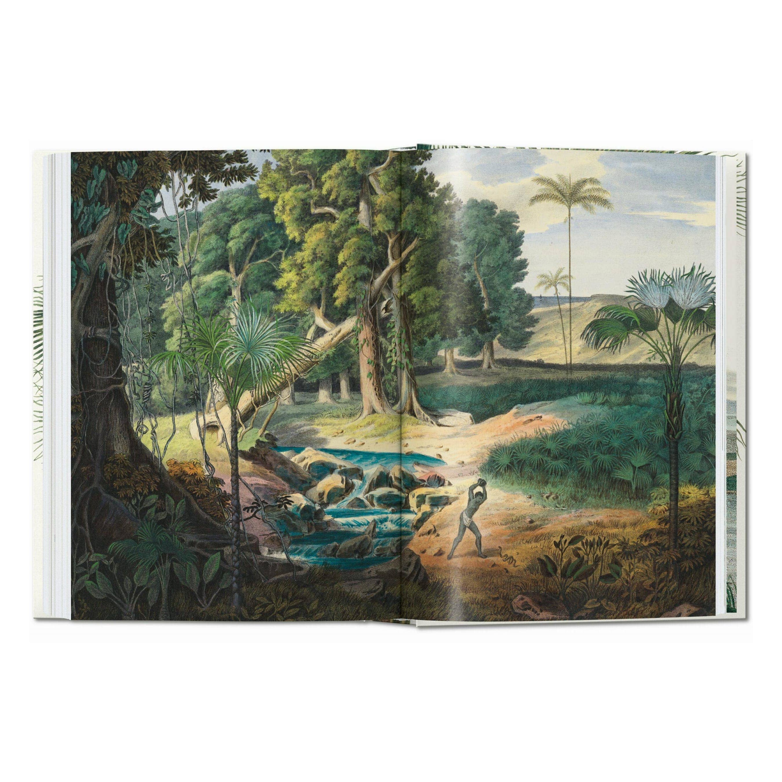 The Book of Palms